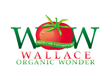 WOW-Logo-with-Banner-ADJUSTED1