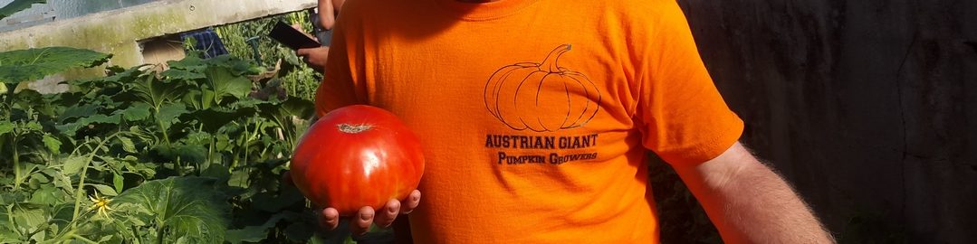 Austrian Giant Pumpkin Growers