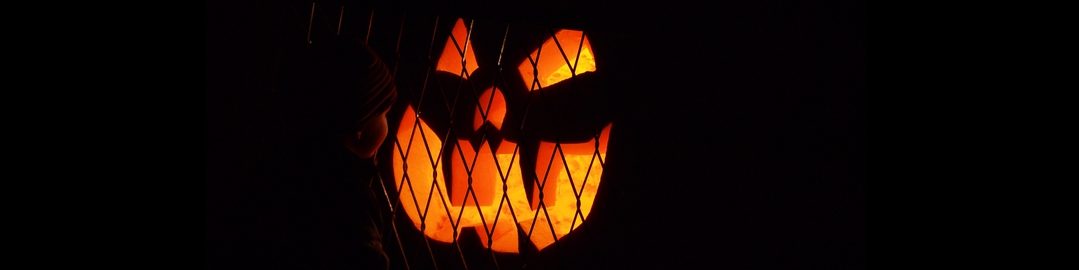 Austrian Giant Pumpkin Growers