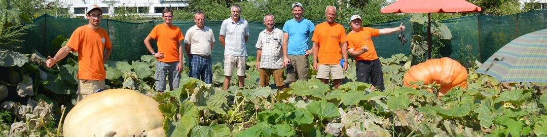 Austrian Giant Pumpkin Growers